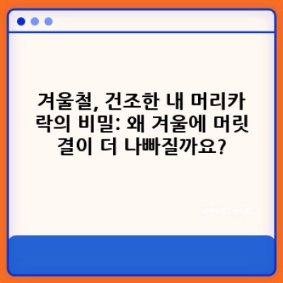 겨울철 머리 손질법: 건조하고 푸석한 모발, 이제 걱정 끝!
