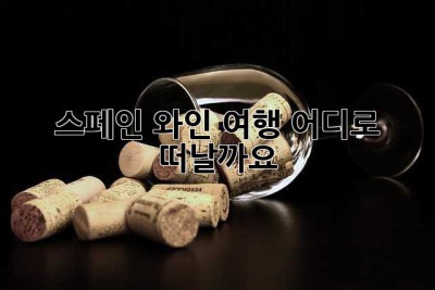 스페인 와인 여행, 어디로 떠날까요?🍷