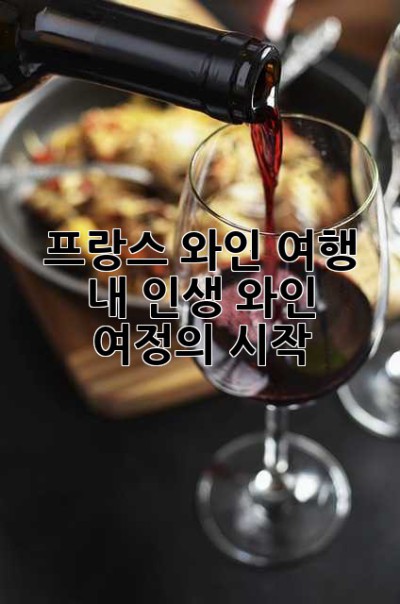 프랑스 와인 여행: 내 인생 와인 여정의 시작