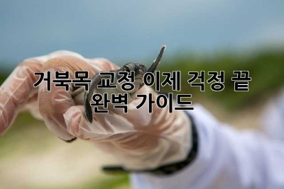 거북목 교정, 이제 걱정 끝! 완벽 가이드