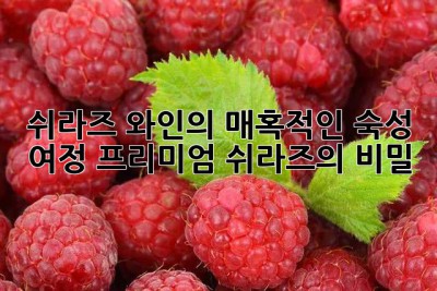 쉬라즈 와인의 매혹적인 숙성 여정: 프리미엄 쉬라즈의 비밀