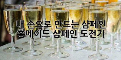 내 손으로 만드는 샴페인🍾: 홈메이드 샴페인 도전기