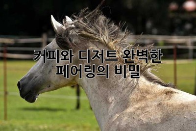 커피와 디저트, 완벽한 페어링의 비밀🤫