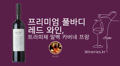 프리미엄 풀바디 레드 와인, 트라피체 말벡 카버네 프랑