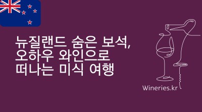 뉴질랜드 숨은 보석, 오하우 와인으로 떠나는 미식 여행