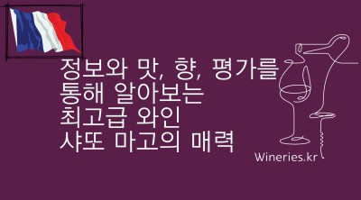 정보와 맛, 향, 평가를 통해 알아보는 최고급 와인 샤또 마고의 매력