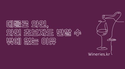 메를로 와인, 와인 초보자도 반할 수밖에 없는 이유
