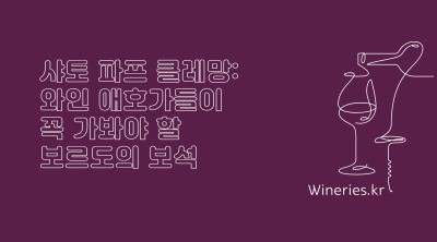 샤토 파프 클레망: 와인 애호가들이 꼭 가봐야 할 보르도의 보석