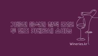 기름진 음식과 찰떡 궁합! 투 핸즈 카베르네 소비뇽