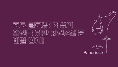 포도 클로닝: 최상의 와인을 위한 자연스러운 비밀 병기!