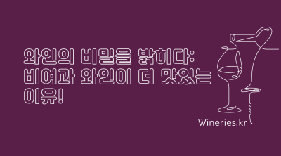 와인의 비밀을 밝히다: 비여과 와인이 더 맛있는 이유!