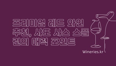 프리미엄 레드 와인 추천, 샤또 샤스 스플린의 매력 포인트
