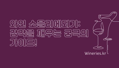 와인 소믈리에되기: 감각을 깨우는 궁극의 가이드!