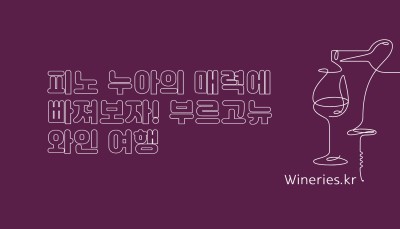 피노 누아의 매력에 빠져보자! 부르고뉴 와인 여행