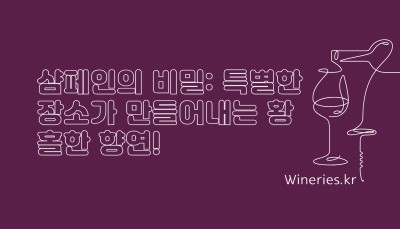 샴페인의 비밀: 특별한 장소가 만들어내는 황홀한 향연!