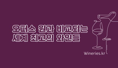 오퍼스 원과 비교되는 세계 최고의 와인들