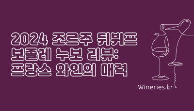2024 조르주 뒤뷔프 보졸레 누보 리뷰: 프랑스 와인의 매력