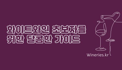 화이트와인 초보자를 위한 달콤한 가이드